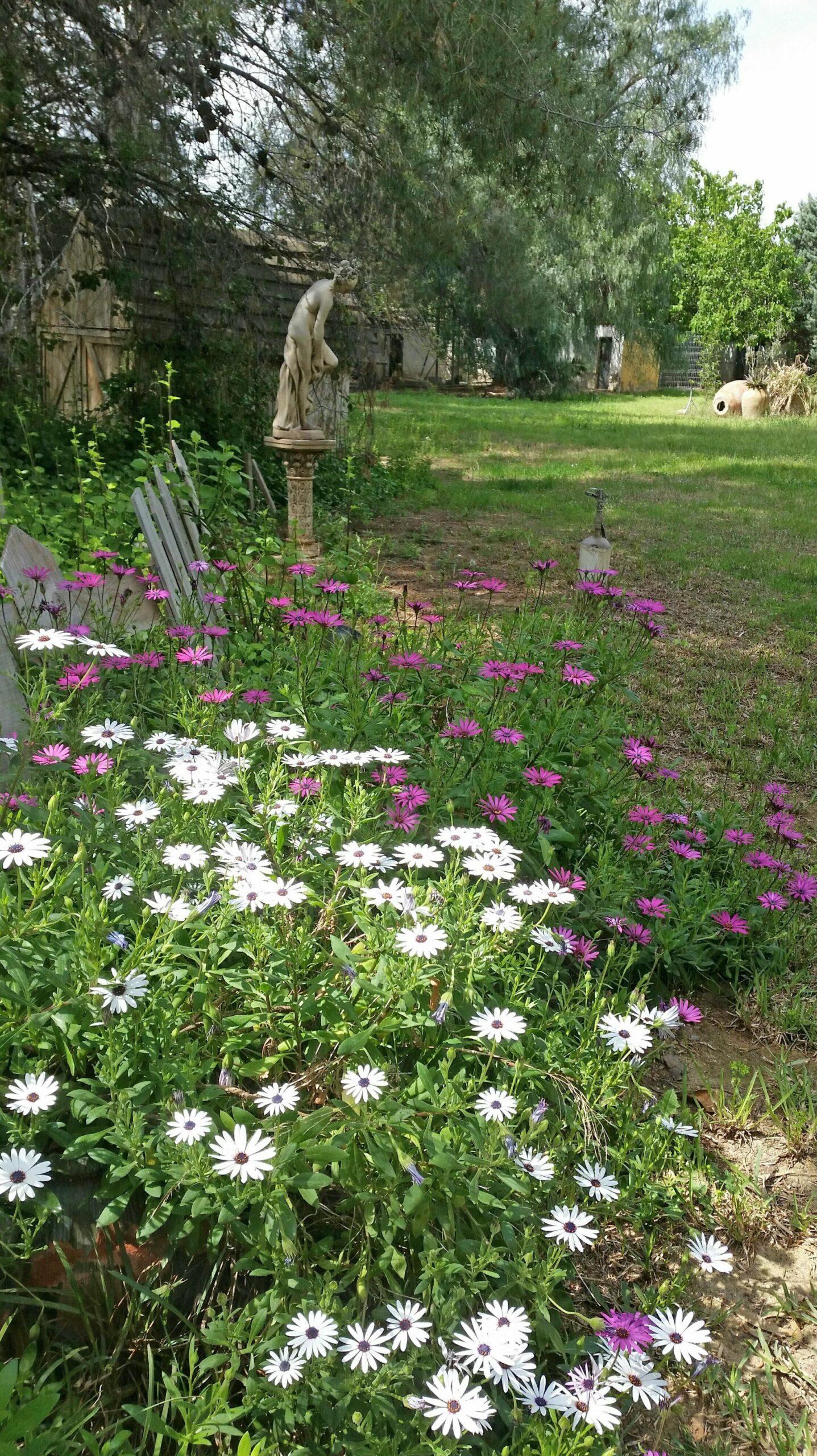 Residencia canina y felina Camp de turia