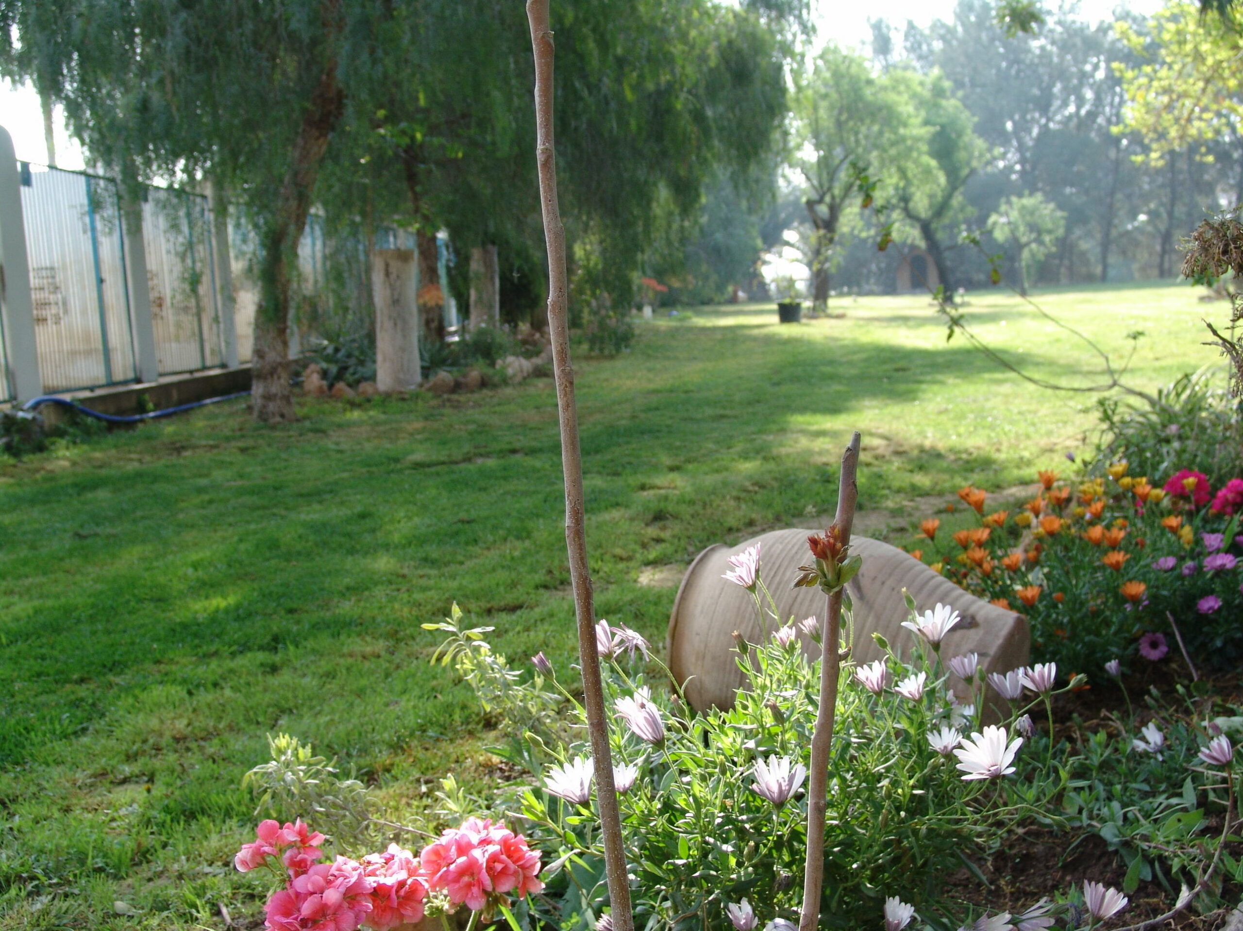 Foto de Camp de turia