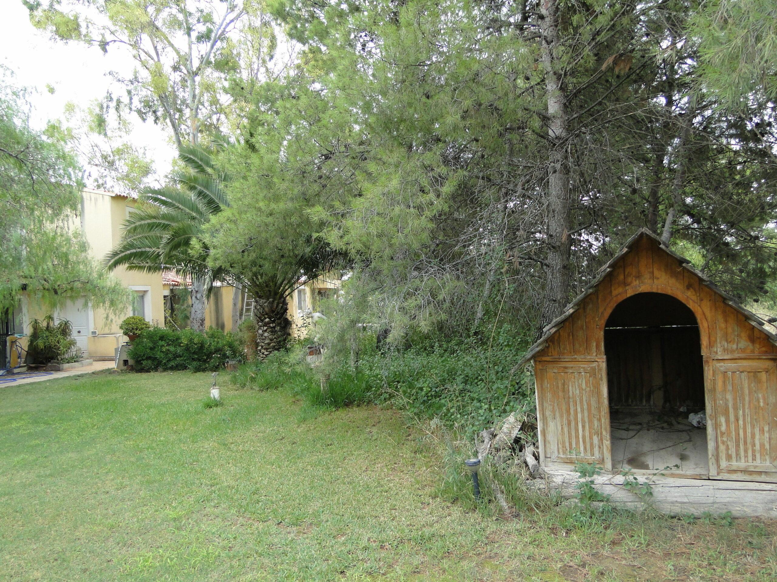 Foto de Camp de turia