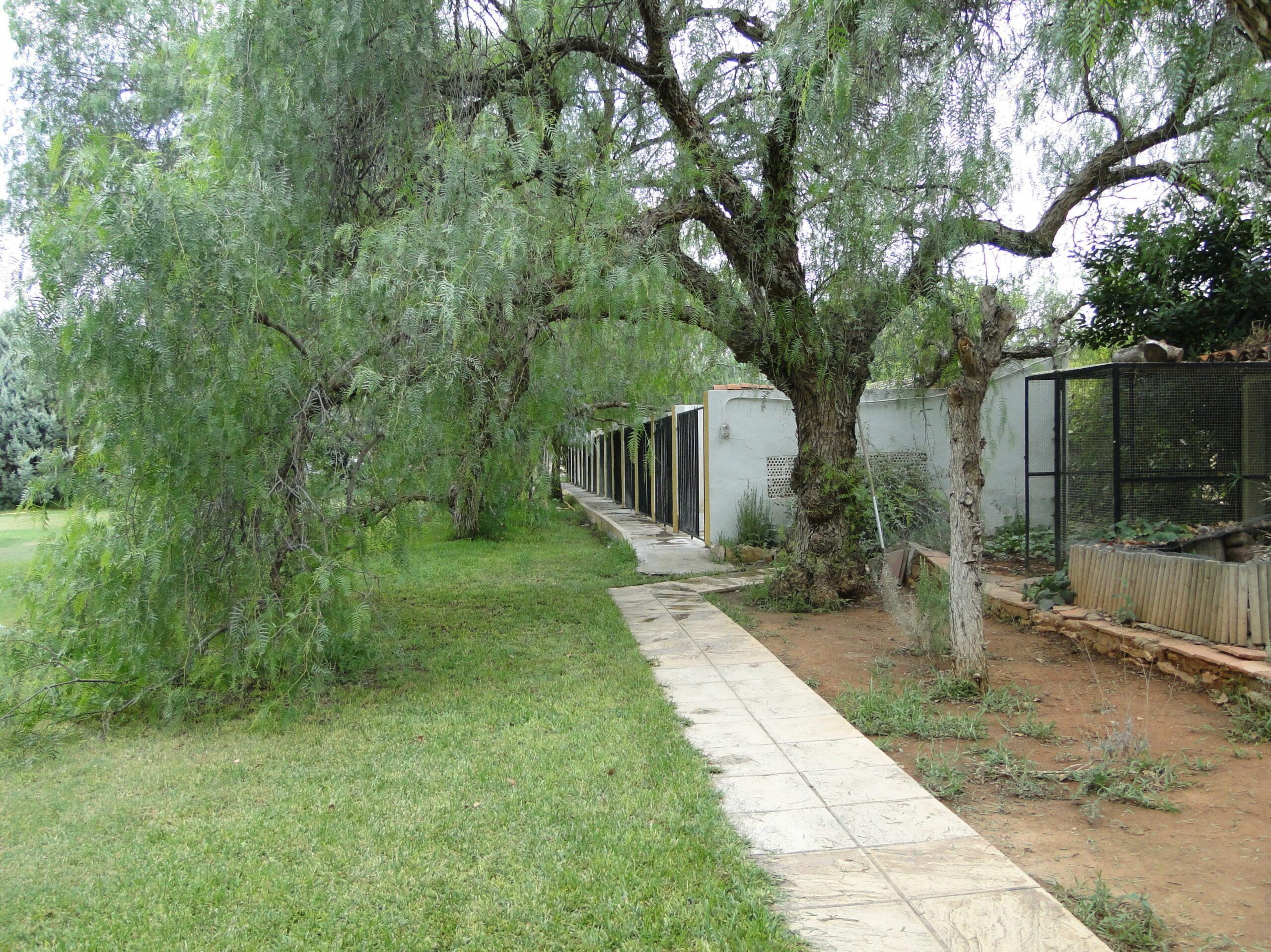 Foto de Camp de turia