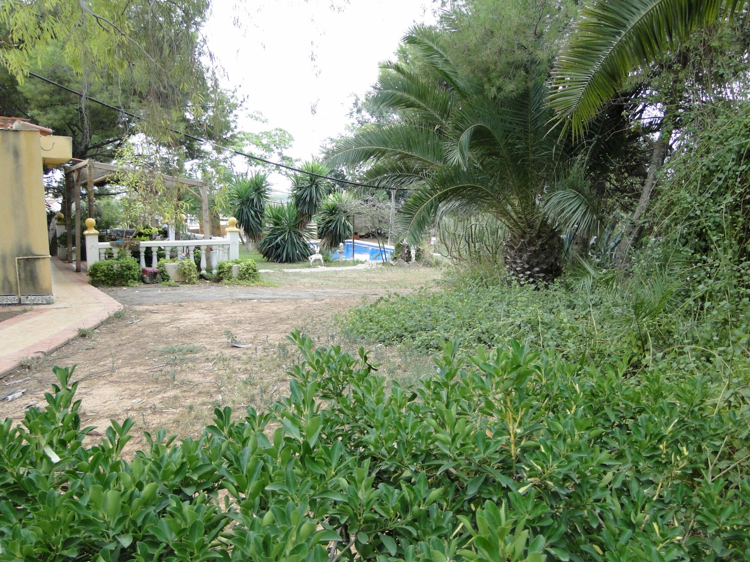 Foto de Camp de turia