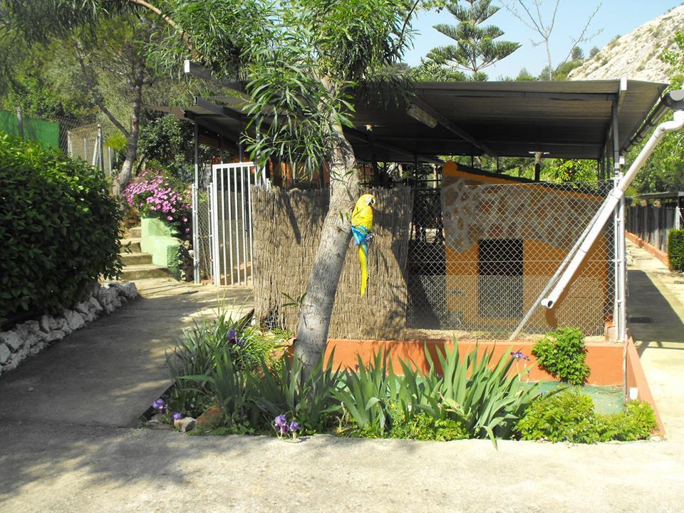 Foto de San Anton