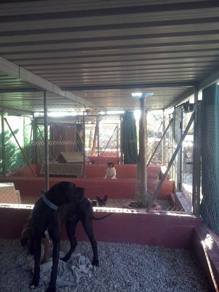 Foto de San Anton