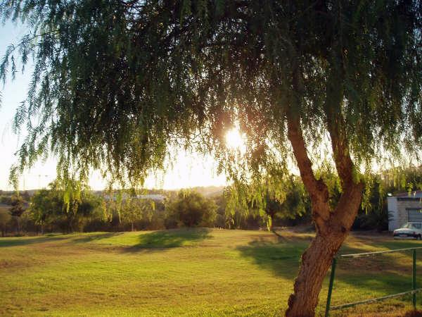 Residencia canina y felina Sportdog