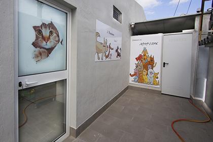 Foto de Hospital veterinario canes Mijas