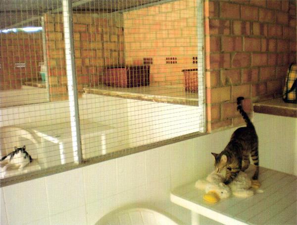 Residencia canina y felina Stefanie's