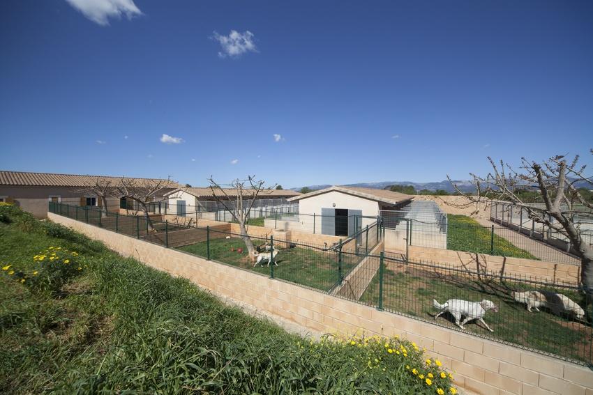 Residencia canina y felina Son Batlet