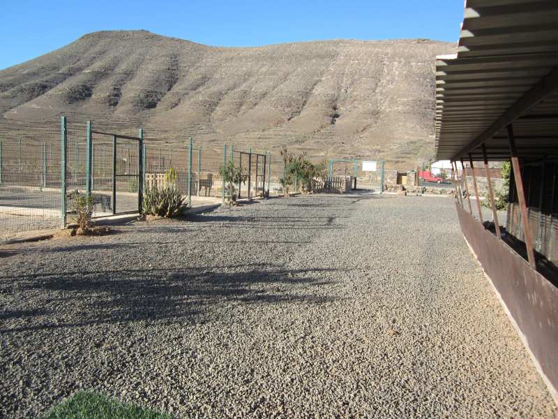 Residencia canina y felina Manohecha