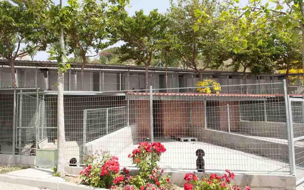 Residencia canina y felina Finca la yosa