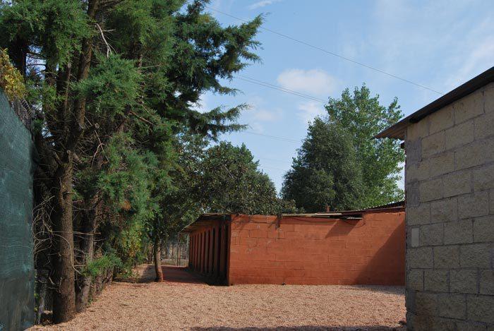 Residencia canina y felina Hotel villanueva