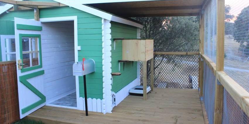 Residencia felina Gatosphera