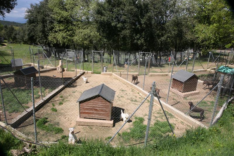 Residencia canina La Masia