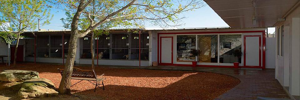 Residencia canina Hotel Can Cadells