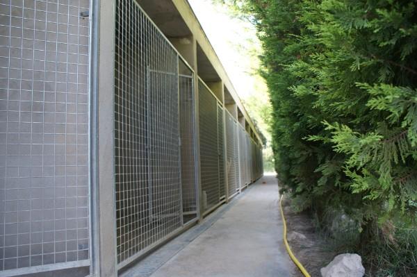Residencia canina Casetes del Puig