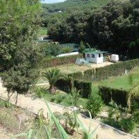 Residencia canina Pedra Castell
