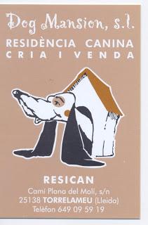 Residencia canina Dog Mansion