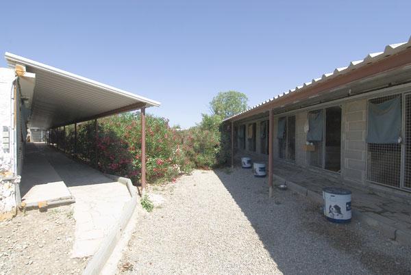 Foto de Green House 2000