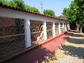 Residencia canina Big Fai