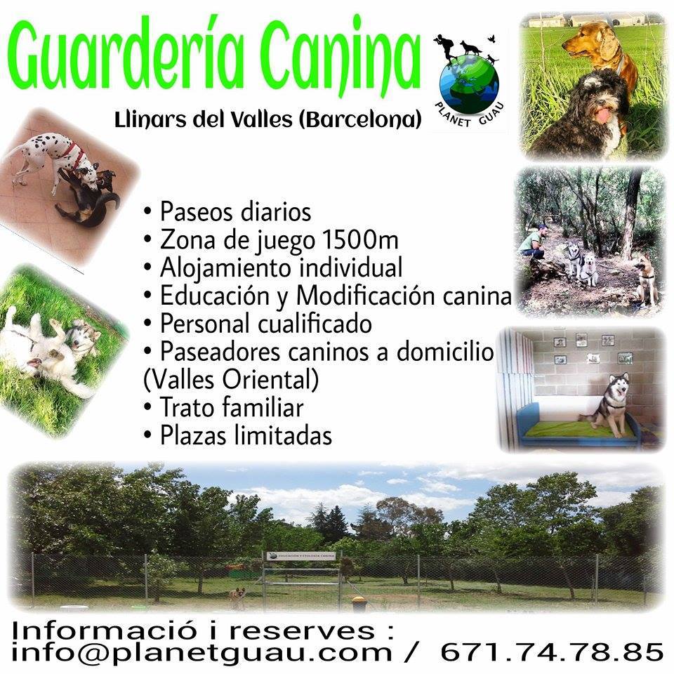 Residencia canina Planet Guau