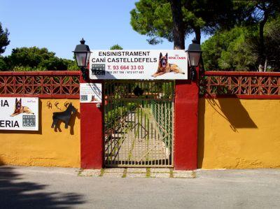 Residencia canina y felina Adiestramiento canino