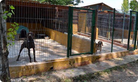 Residencia canina y felina Can Franch