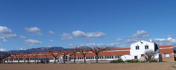 Residencia canina Gossos i Gossets