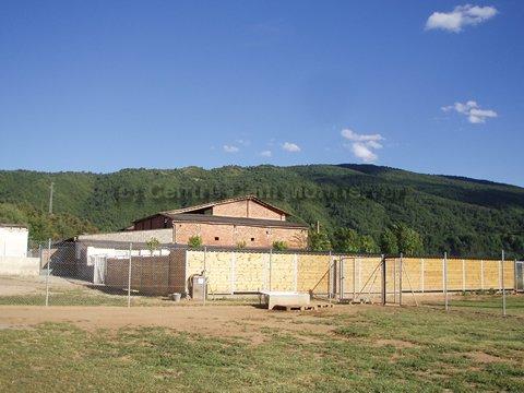 Residencia canina Montferrer