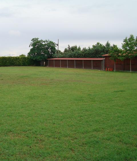 Residencia canina Centro Canino Gufy