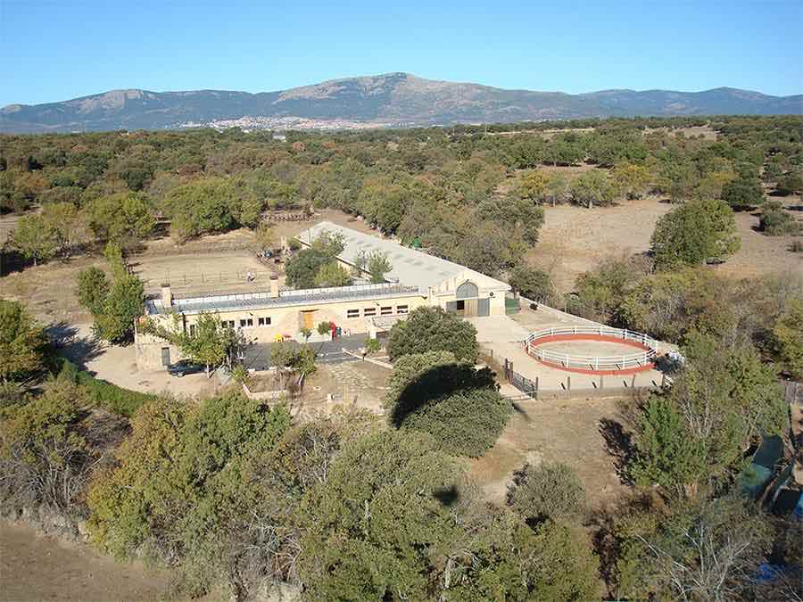 Residencia canina Como en Casa