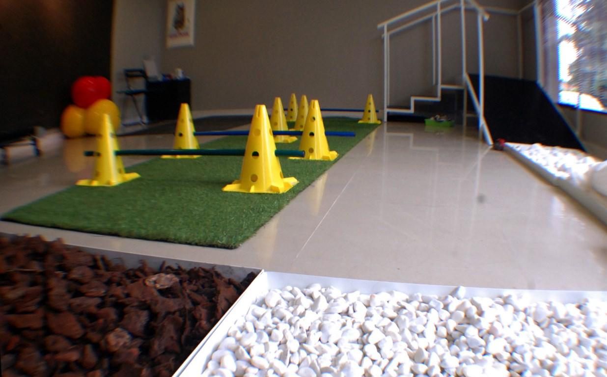 Residencia canina Habana Boston