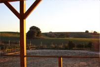 Residencia canina Alegranza