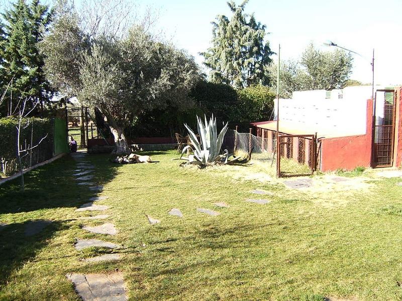 Residencia canina Delfos Monroy