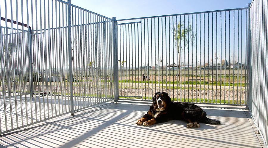 Foto de Centro Canino Brunete