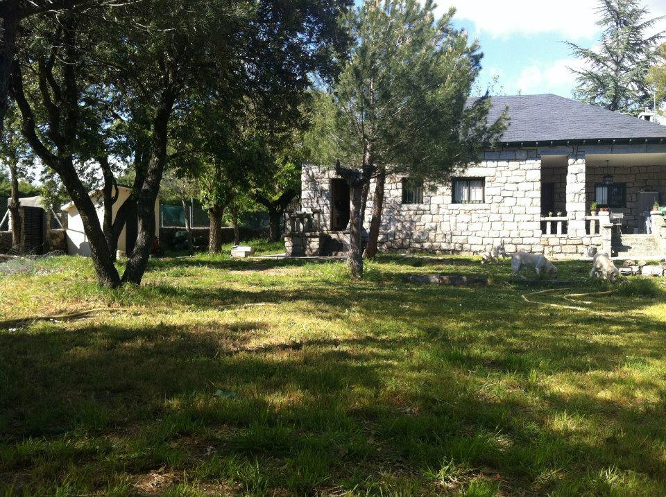 Residencia canina La Serranía