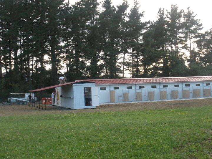 Residencia canina Txiki eder