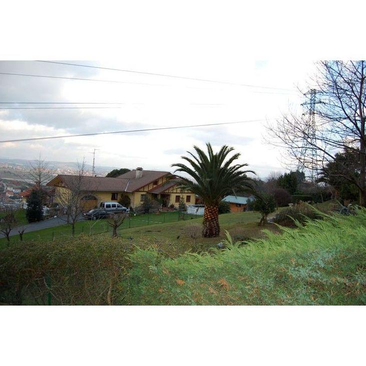 Residencia canina y felina Villa Halcón