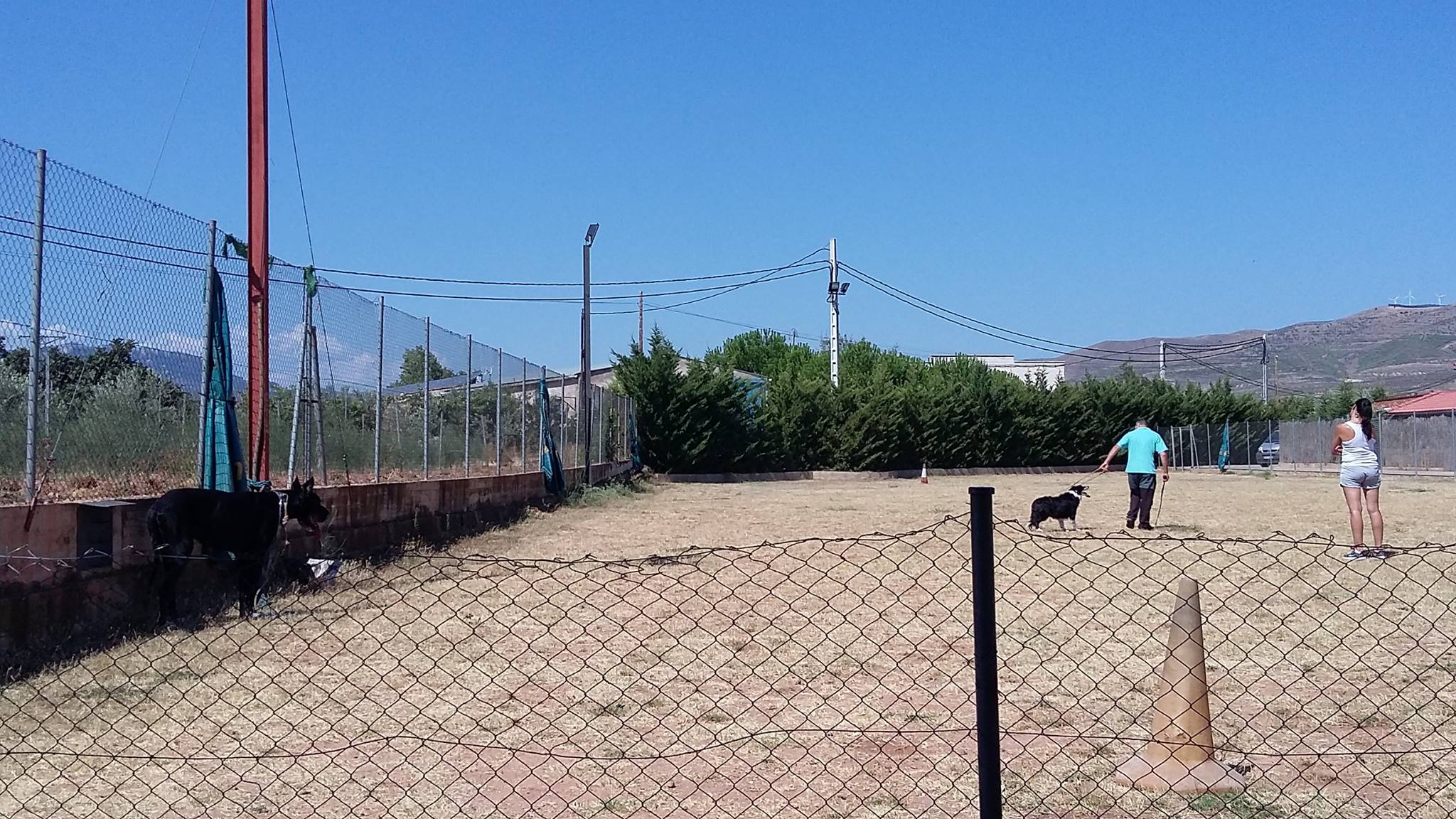 Residencia canina Harrycan