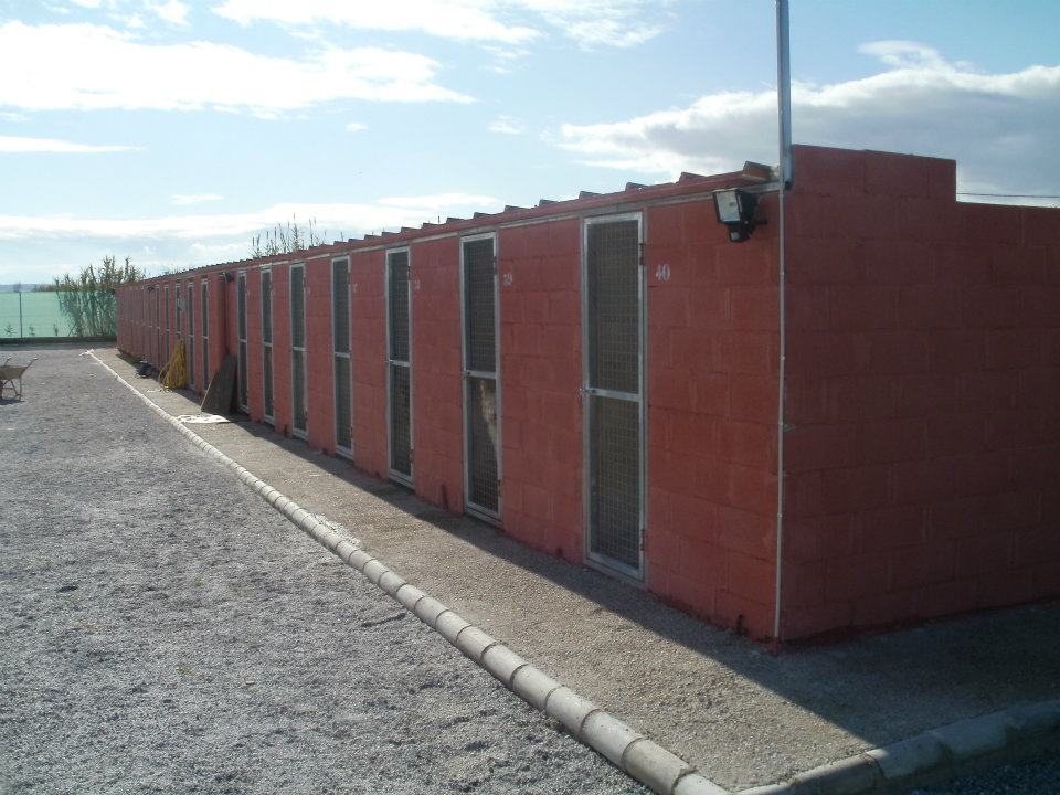 Residencia canina Tudela