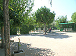 Residencia canina Miralbueno
