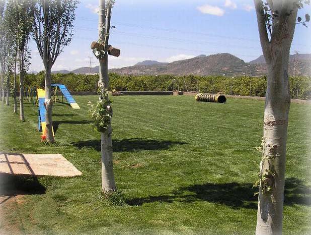 Residencia canina Caballero de argos