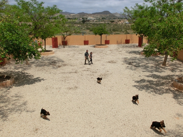 Residencia canina Akra Can