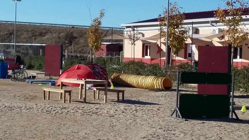 Foto de Can ferox
