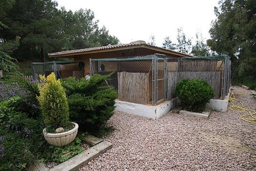 Residencia canina Hellen Keller