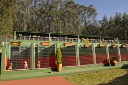 Residencia canina y felina Montegatto