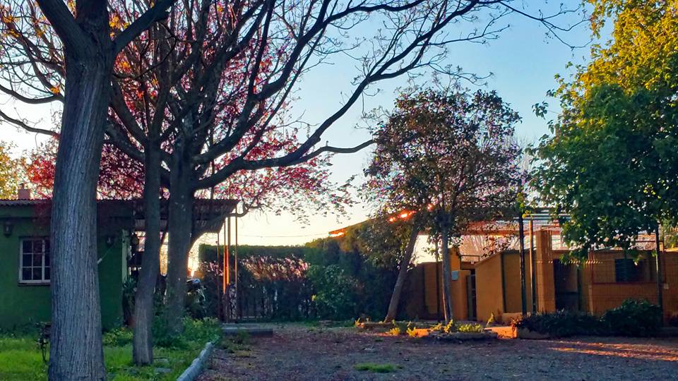 Residencia canina Surcan