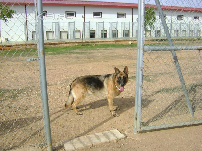 Residencia canina Villa-can