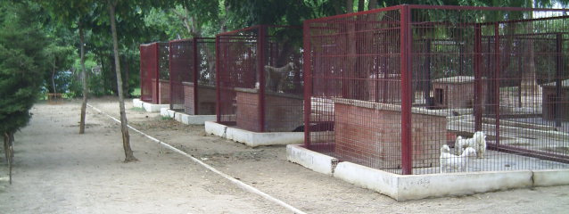 Residencia canina Canicen
