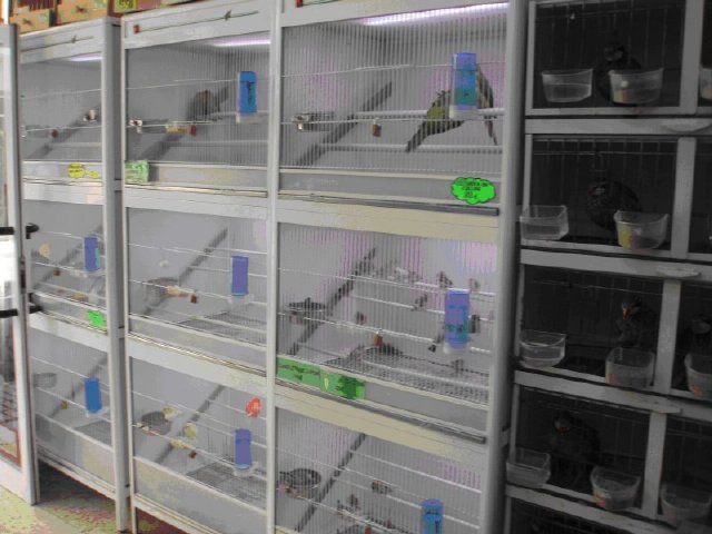 Residencia canina y felina Donanimal