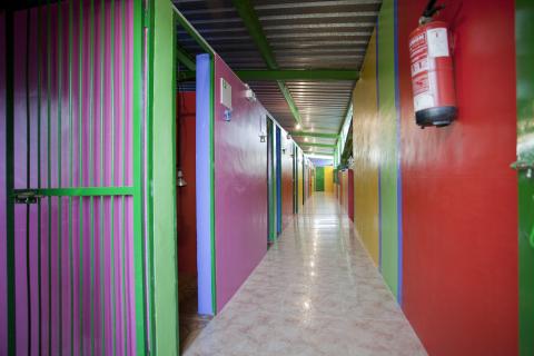 Residencia canina y felina Los parejos