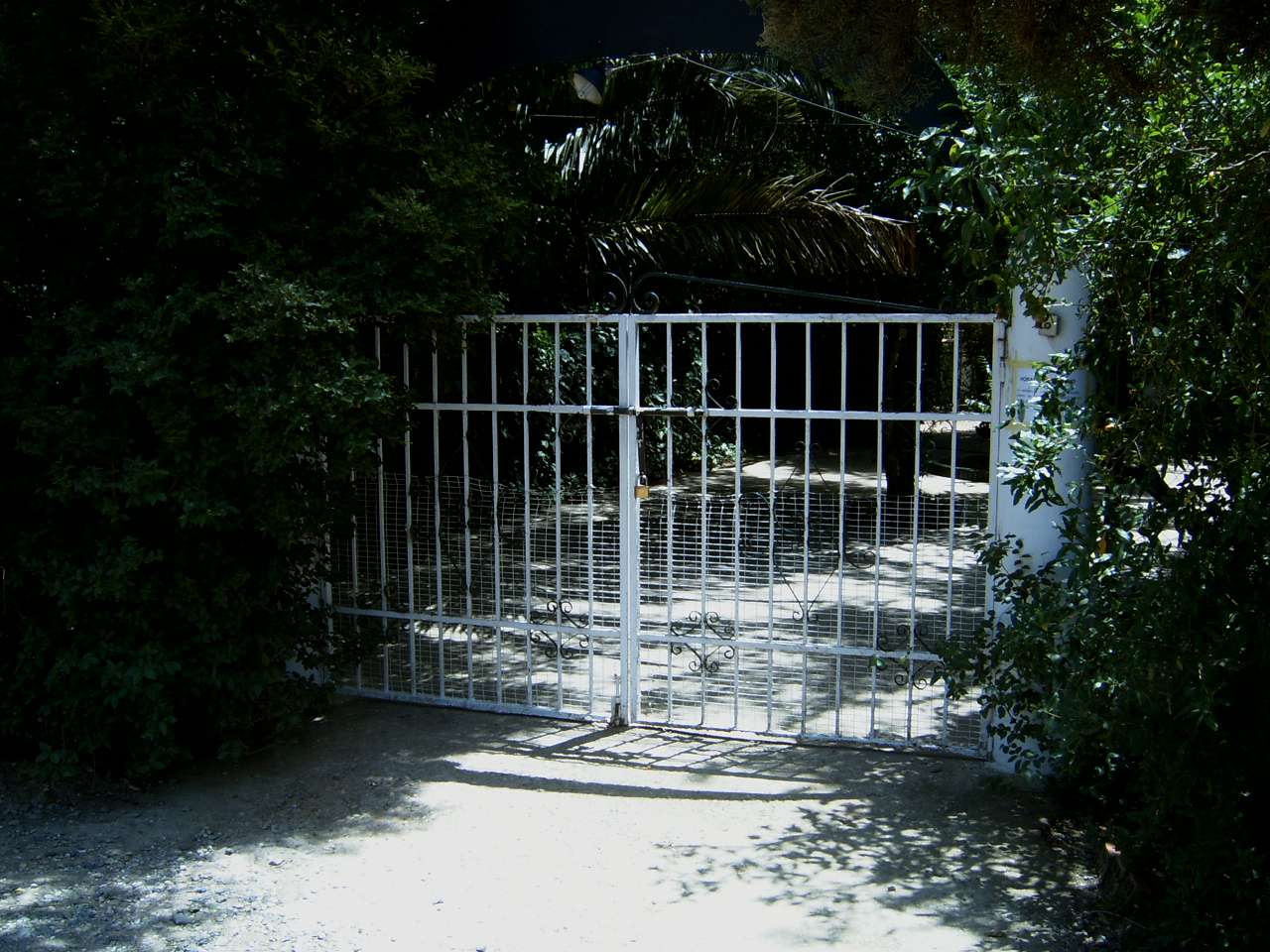 Residencia canina Seneca